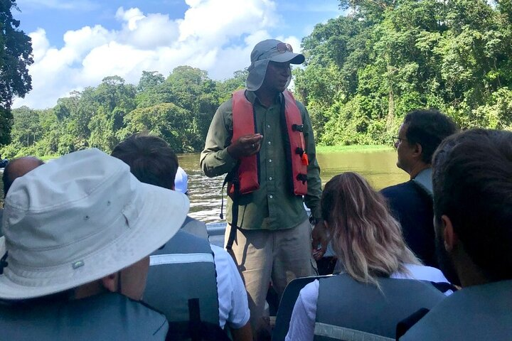 Canoe Boat Tour in Tortuguero Canal - Photo 1 of 6